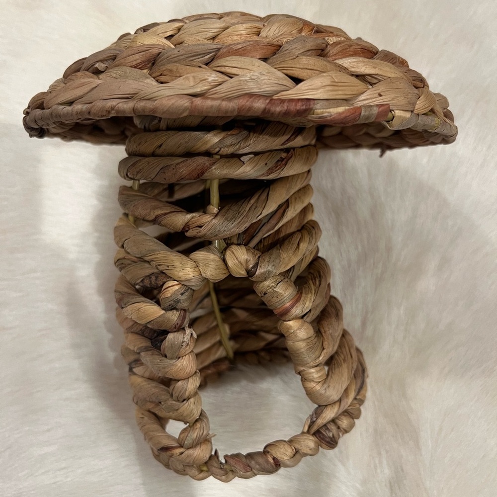 Rattan Mushroom